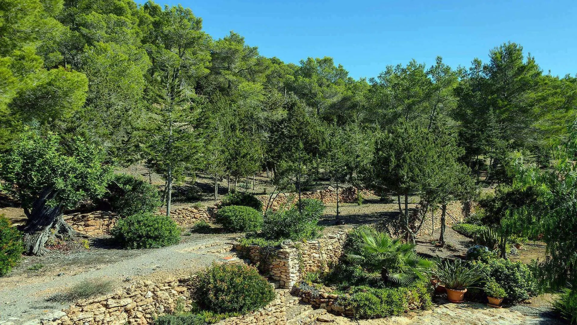 New! Villa Can Guillem Patri San Carlos 0*,  Spain