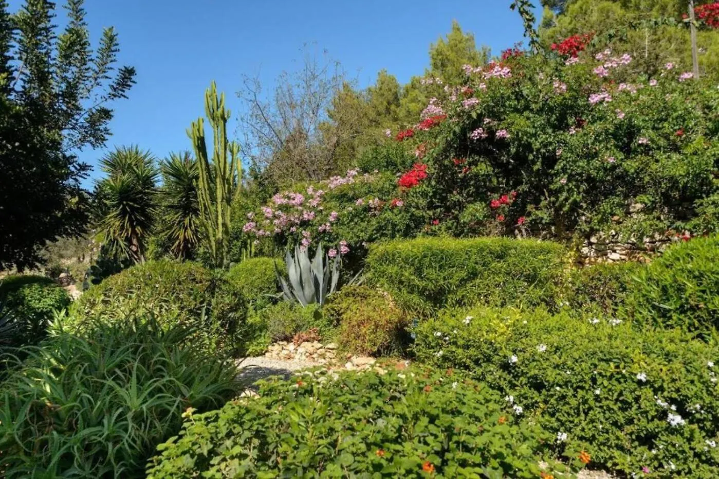 New! Villa Can Guillem Patri San Carlos